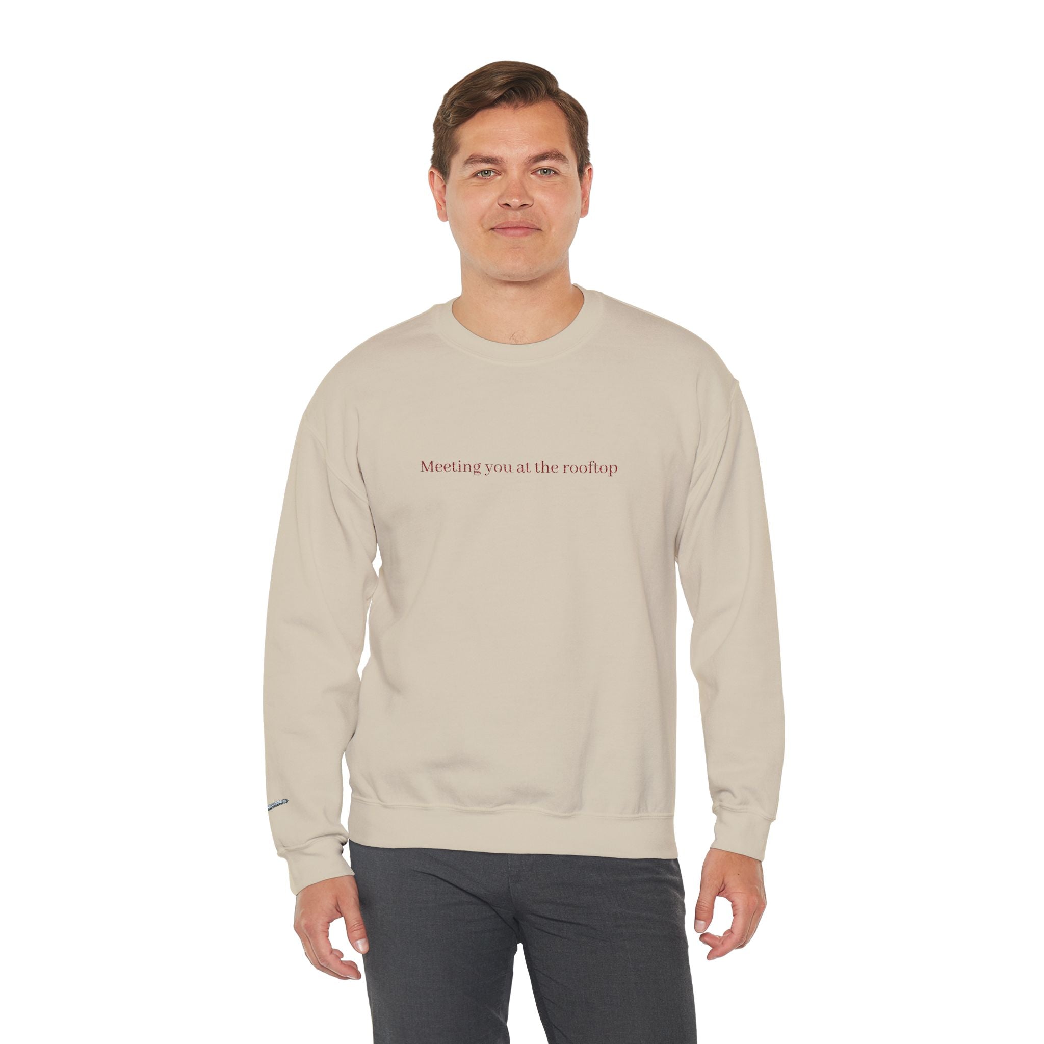 Meeting you at the rooftop crewneck sweatshirt