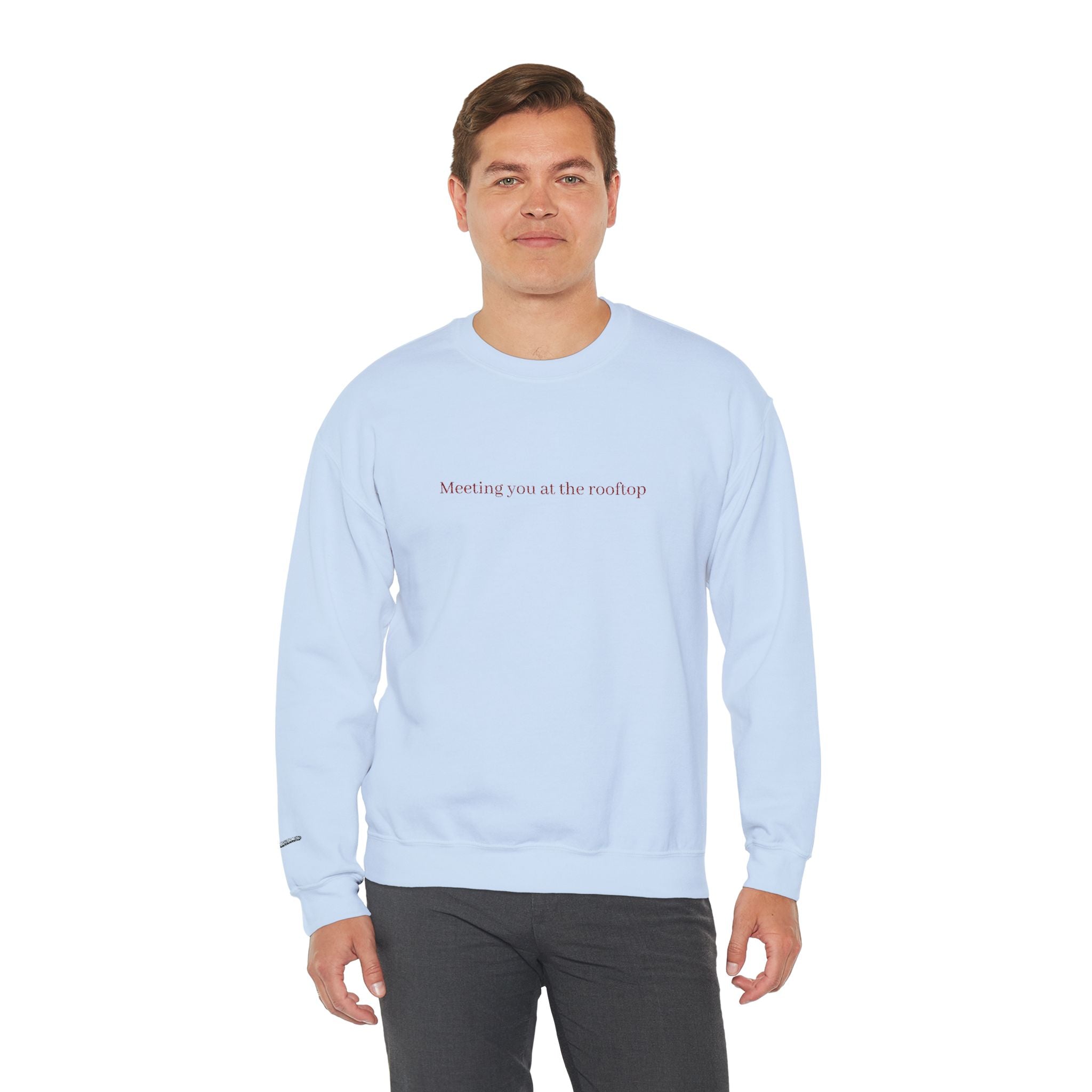 Meeting you at the rooftop crewneck sweatshirt
